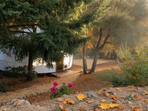 A leafy path through evergreens and oaks leading to the dome, with pink flowers beside it.